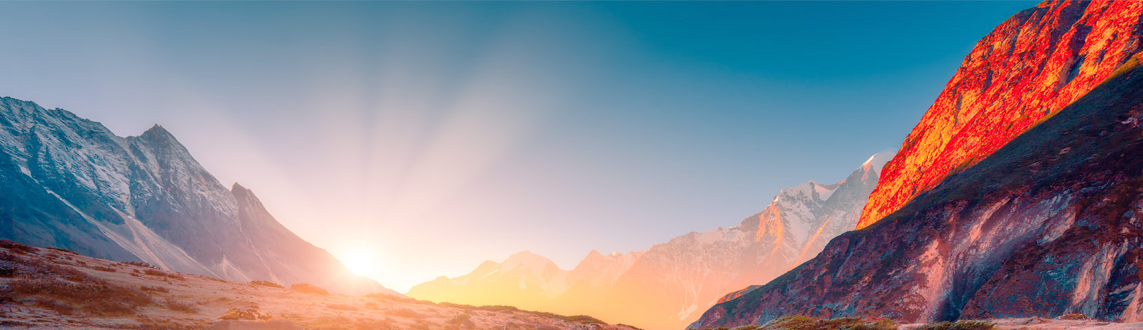 关于GA黄金甲平台